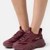 Steve Madden Possession - Sneakers Laag - Wine -Schoenen Serie Winkel 3ac886a49b484a90aa18de87e4660c30